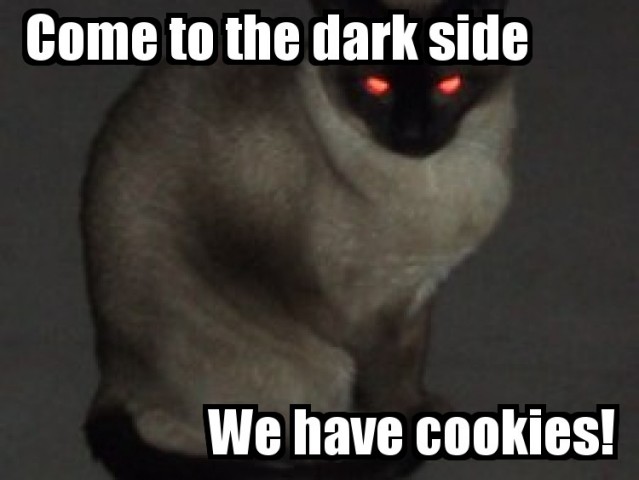 Dark side kitty